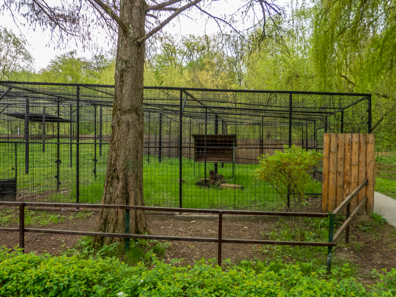 enclosure jaguar