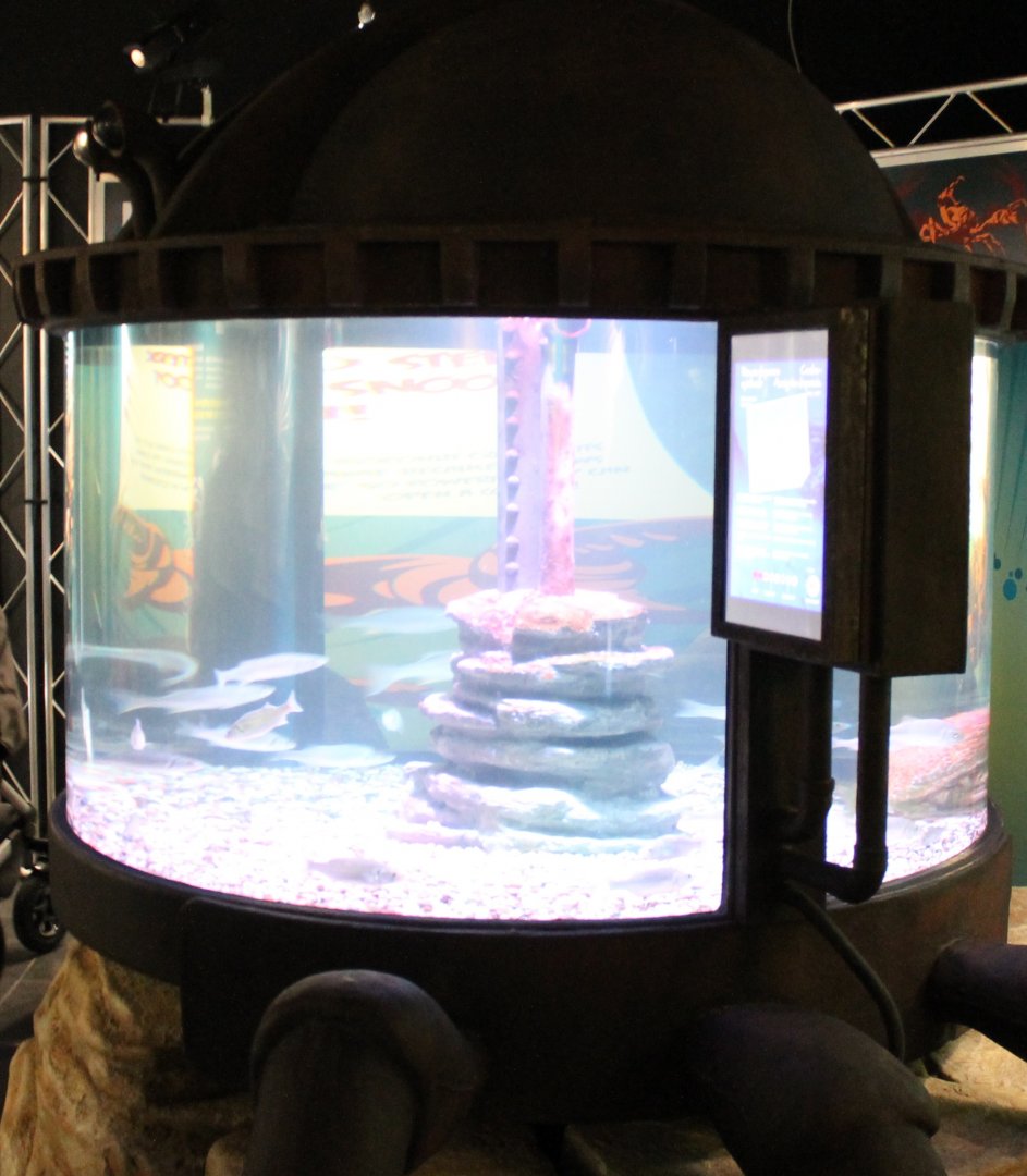 Enclosure Japanese giant spider crab