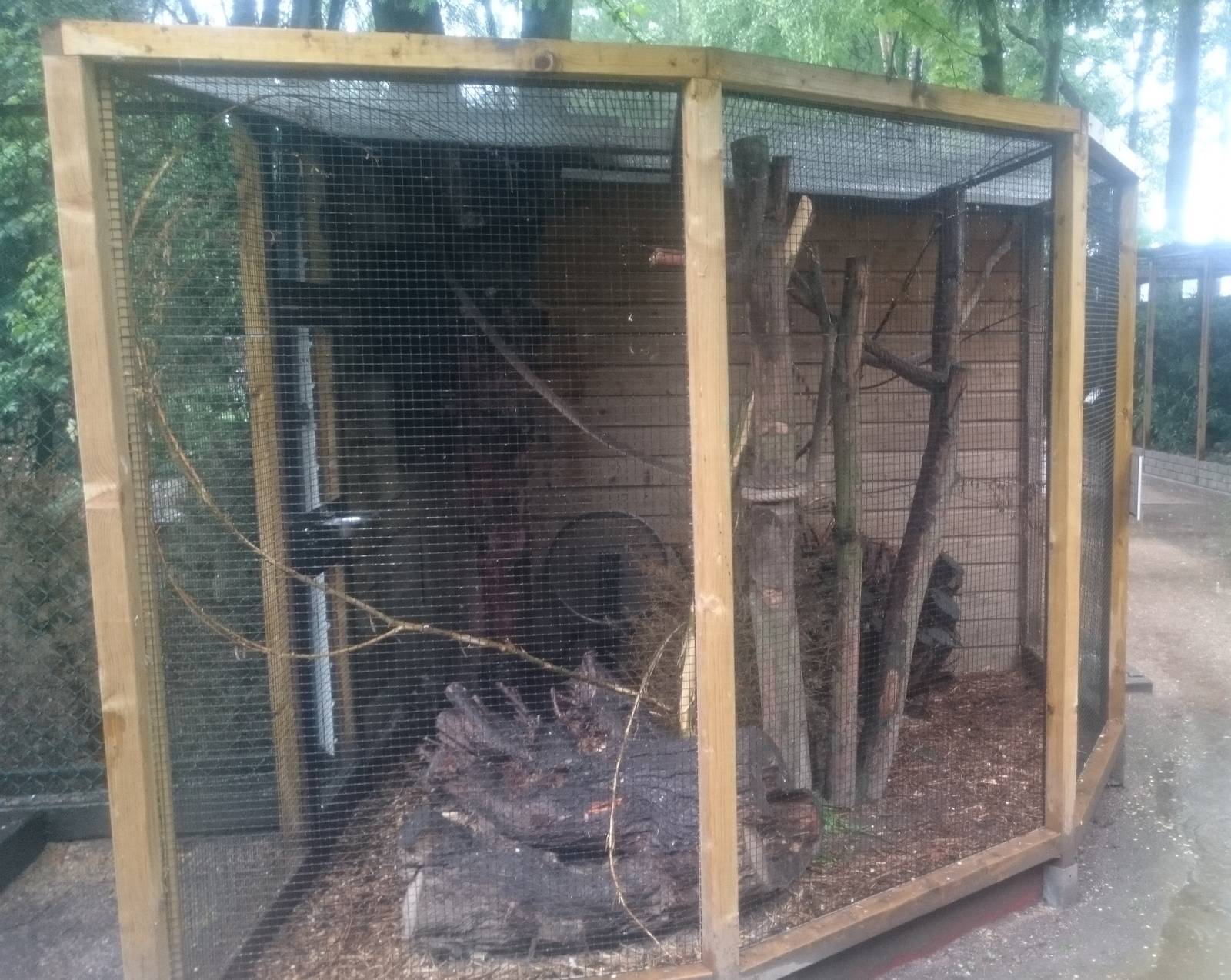 Enclosure Japanese squirrel