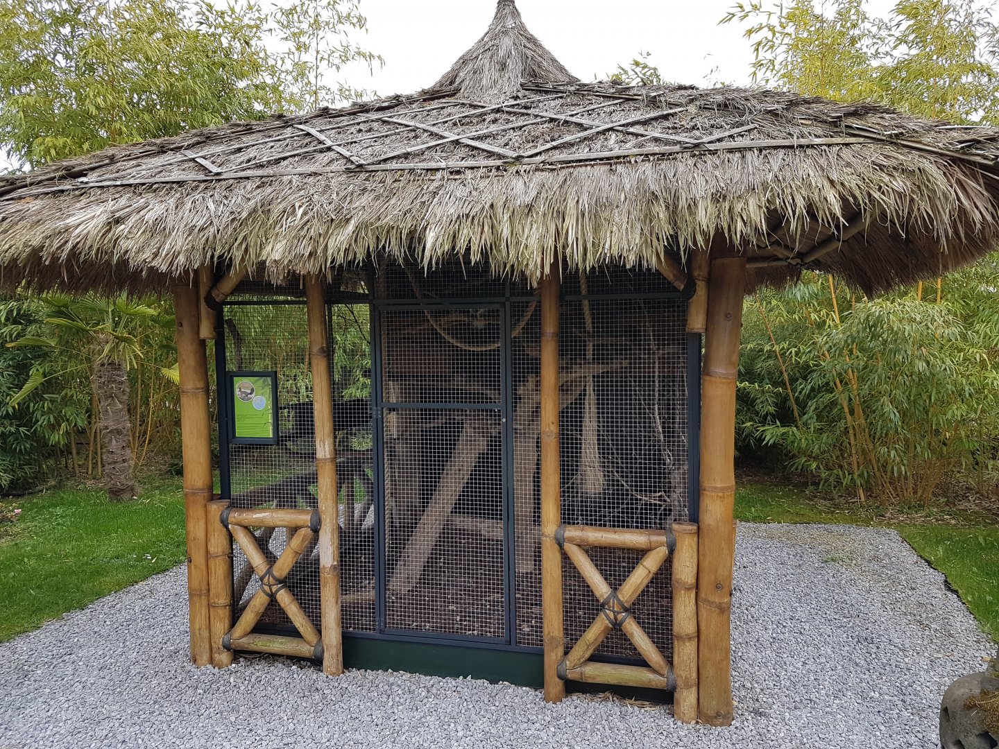 Enclosure Japanese squirrel