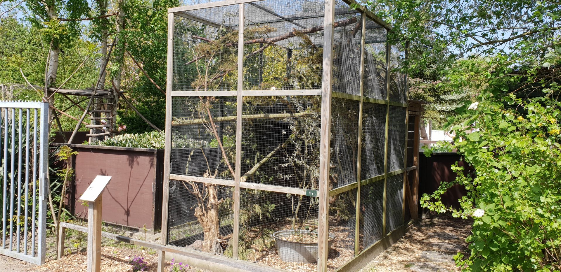 Enclosure Japanese squirrel
