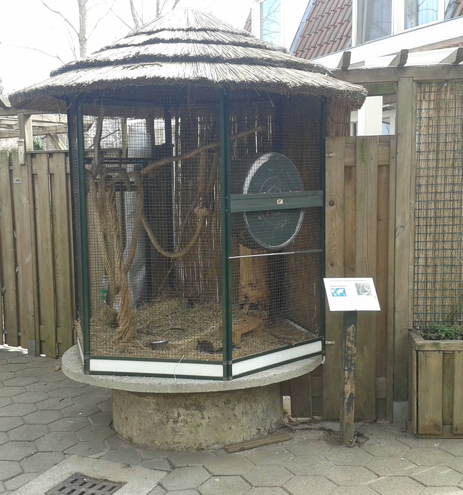 Enclosure Japanese squirrels