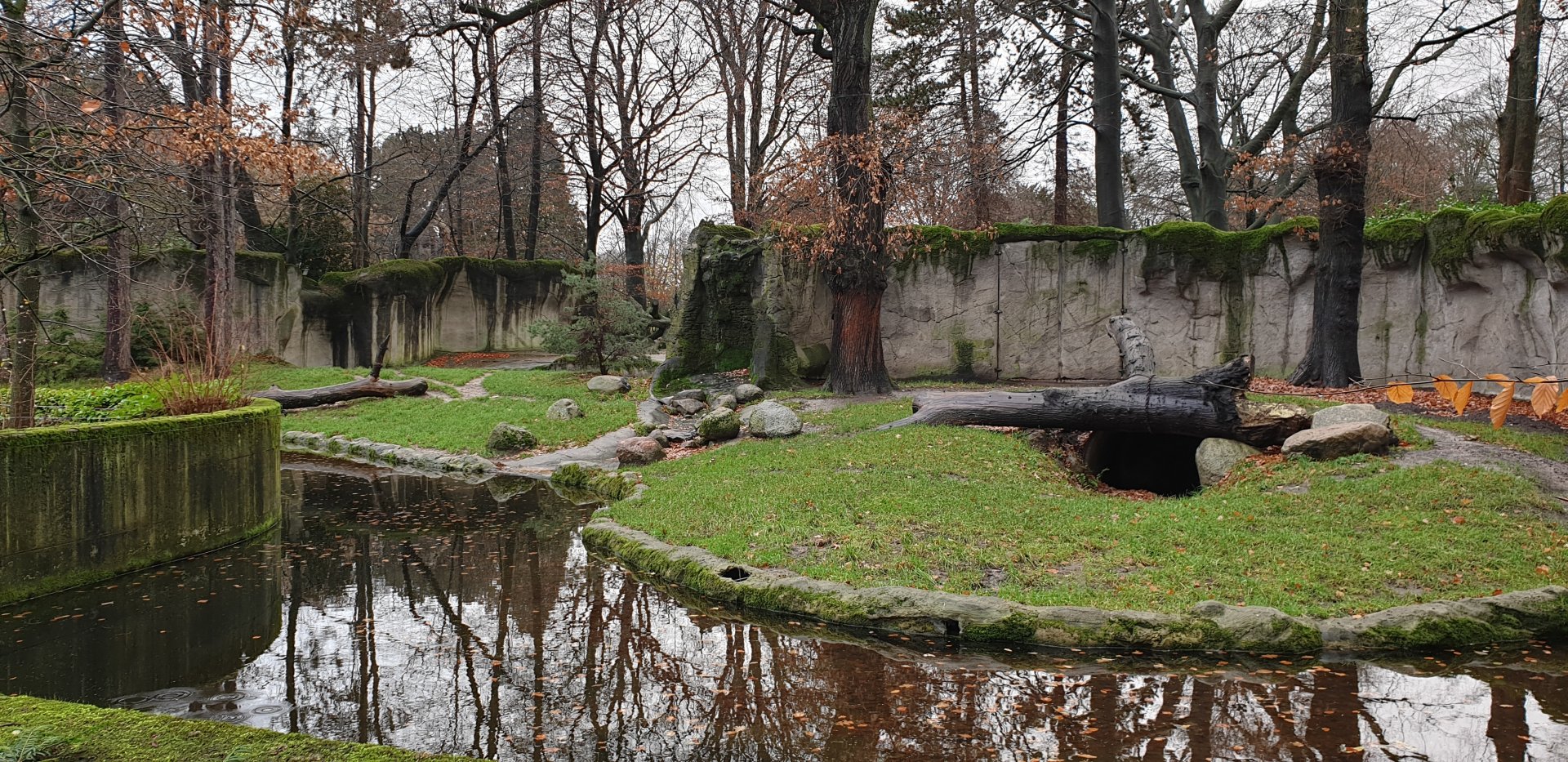 Enclosure Kamchatka brown bear