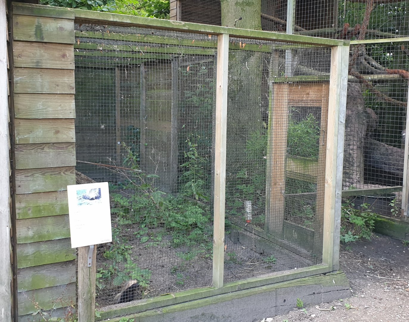 Enclosure Little grison