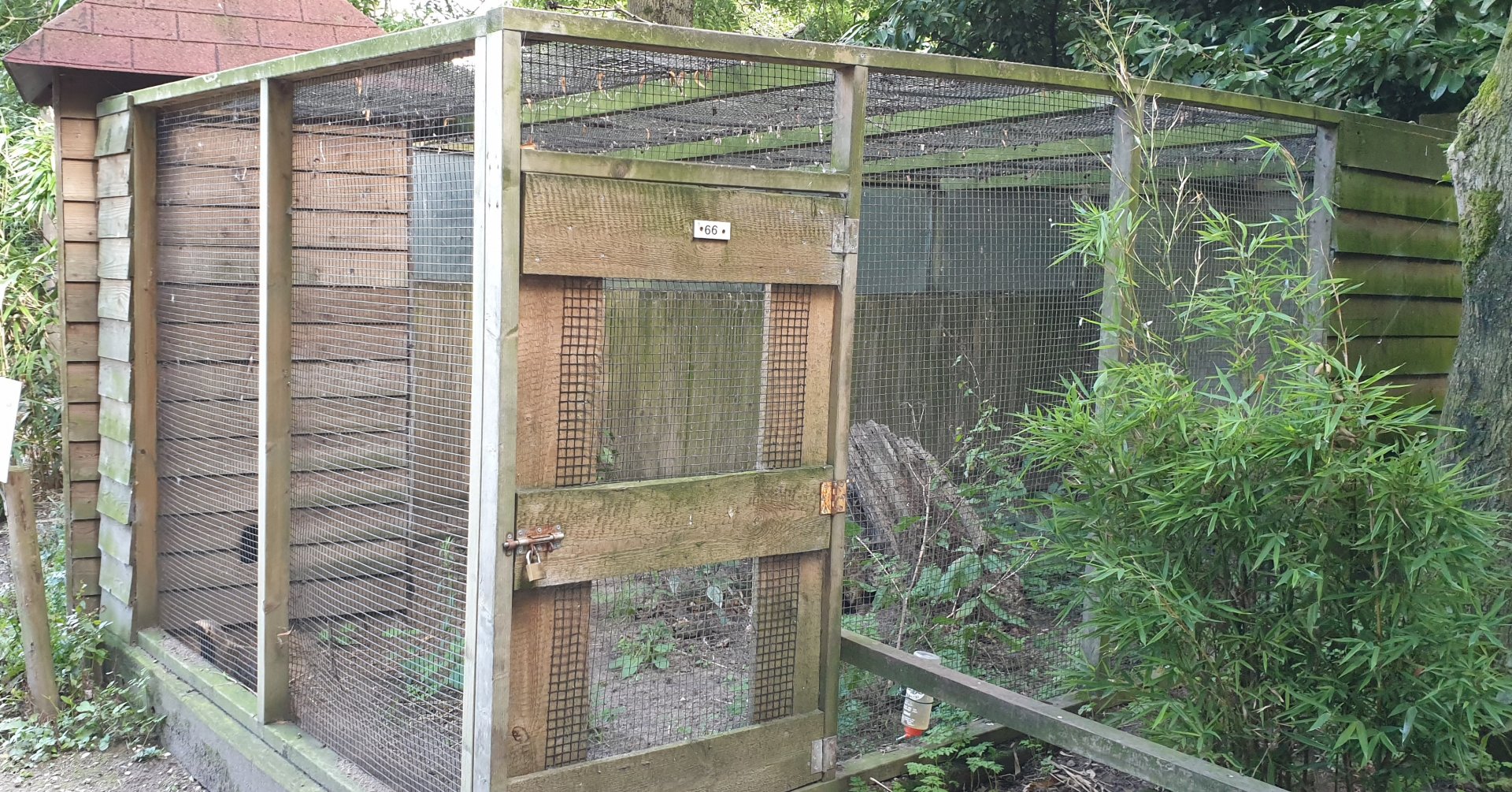 Enclosure Little grison