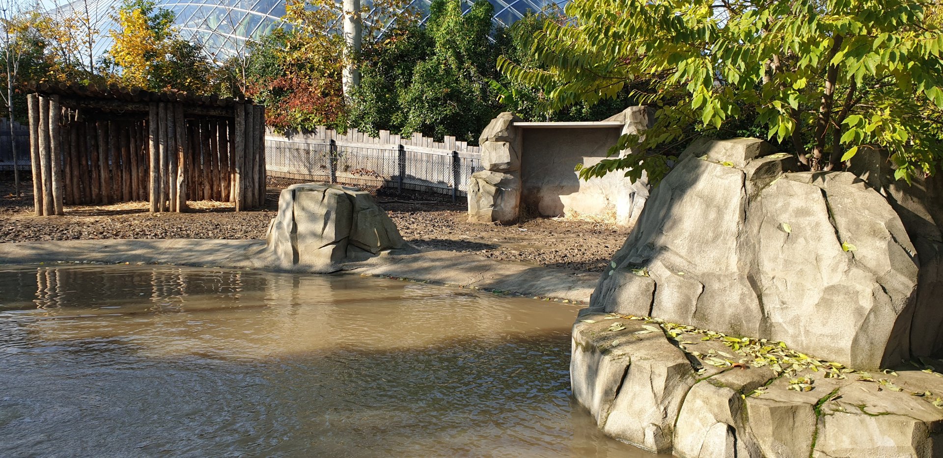 Enclosure Lowland tapir