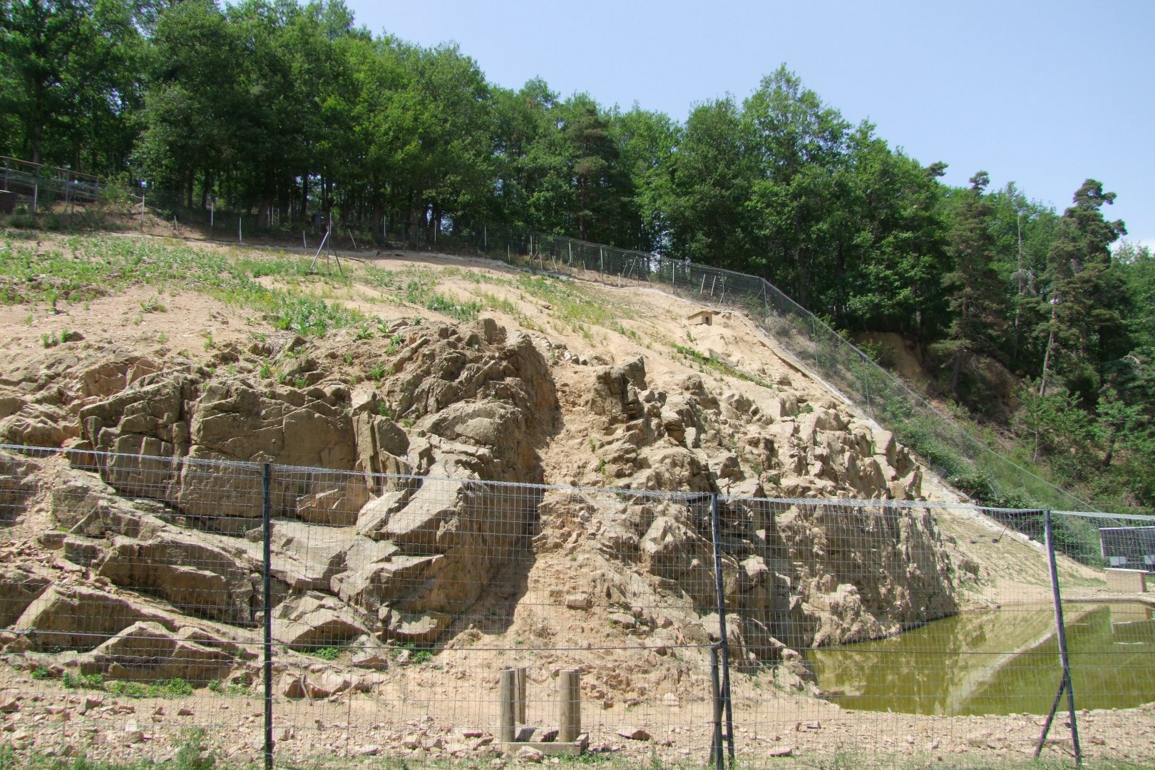 Enclosure Macaca sylvanus