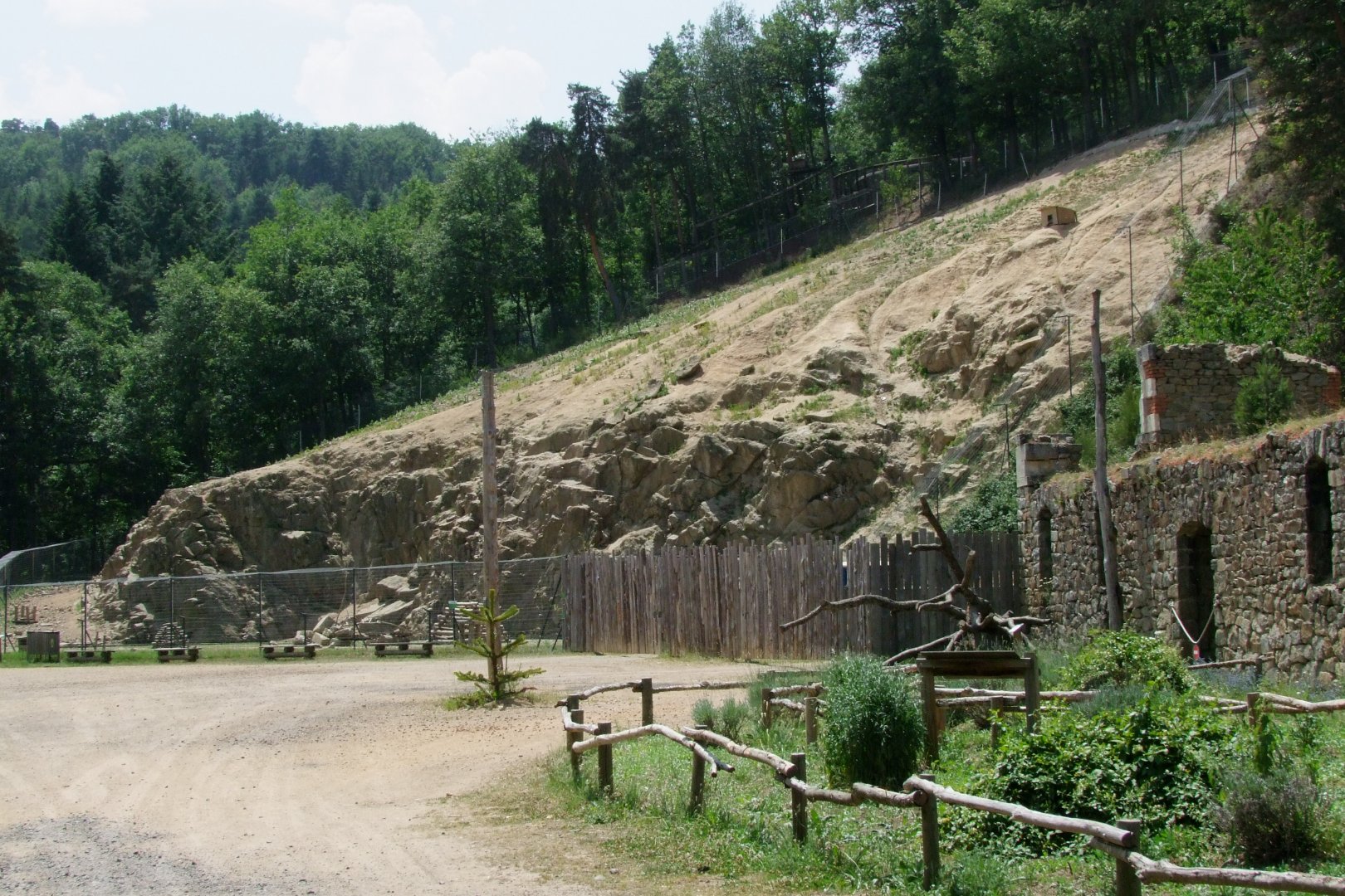 Enclosure Macaca sylvanus