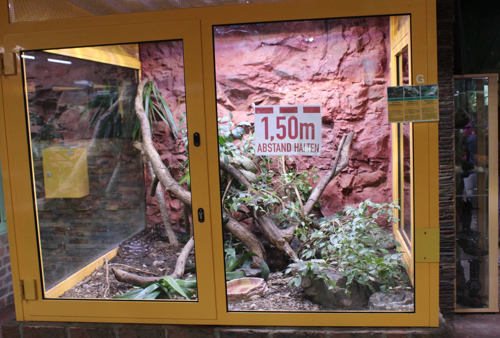 Enclosure Madagascar boa's and Day gecko