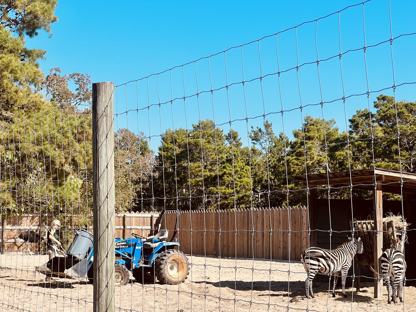 Enclosure Maintenance