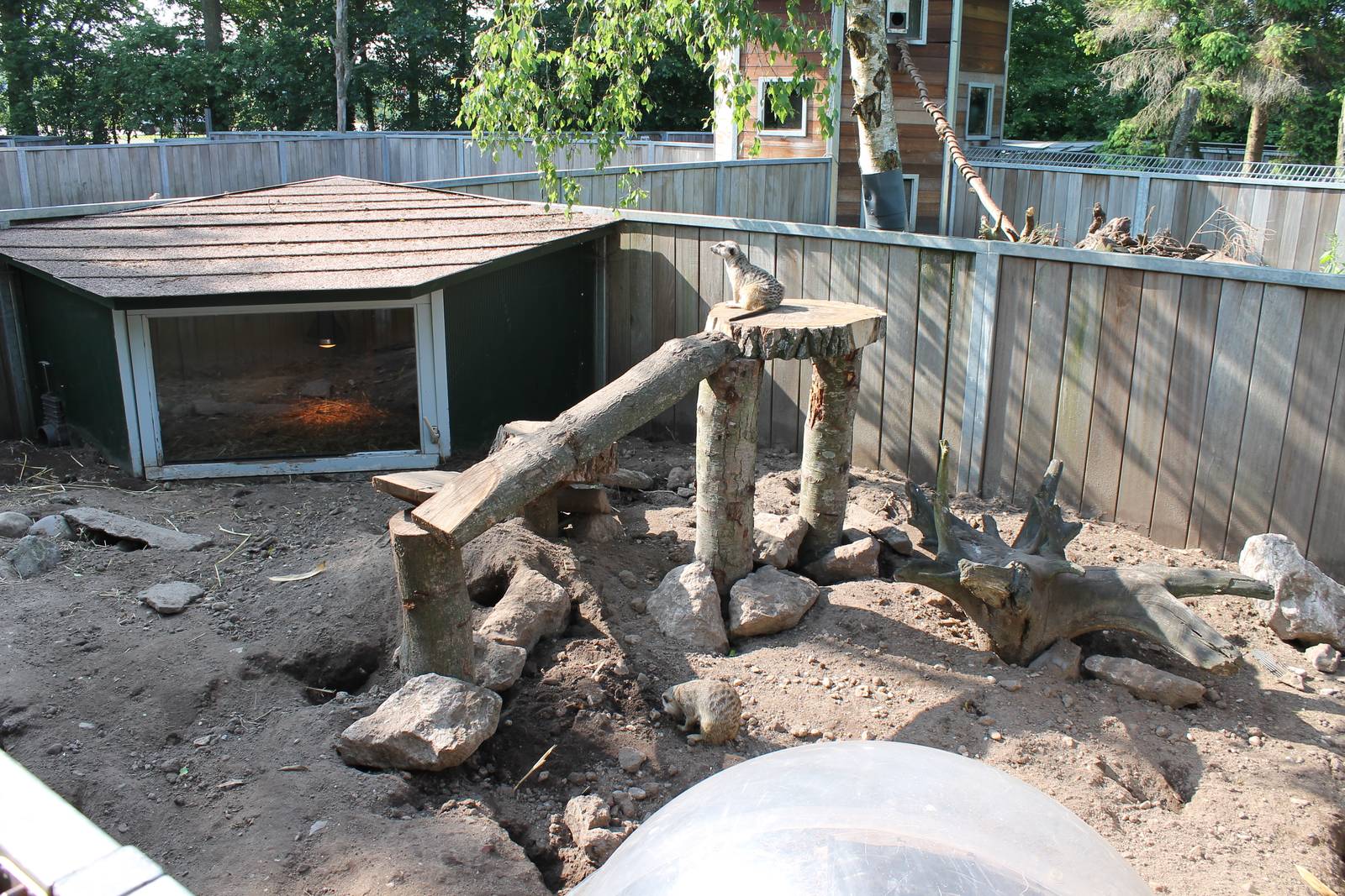 Enclosure Meerkat