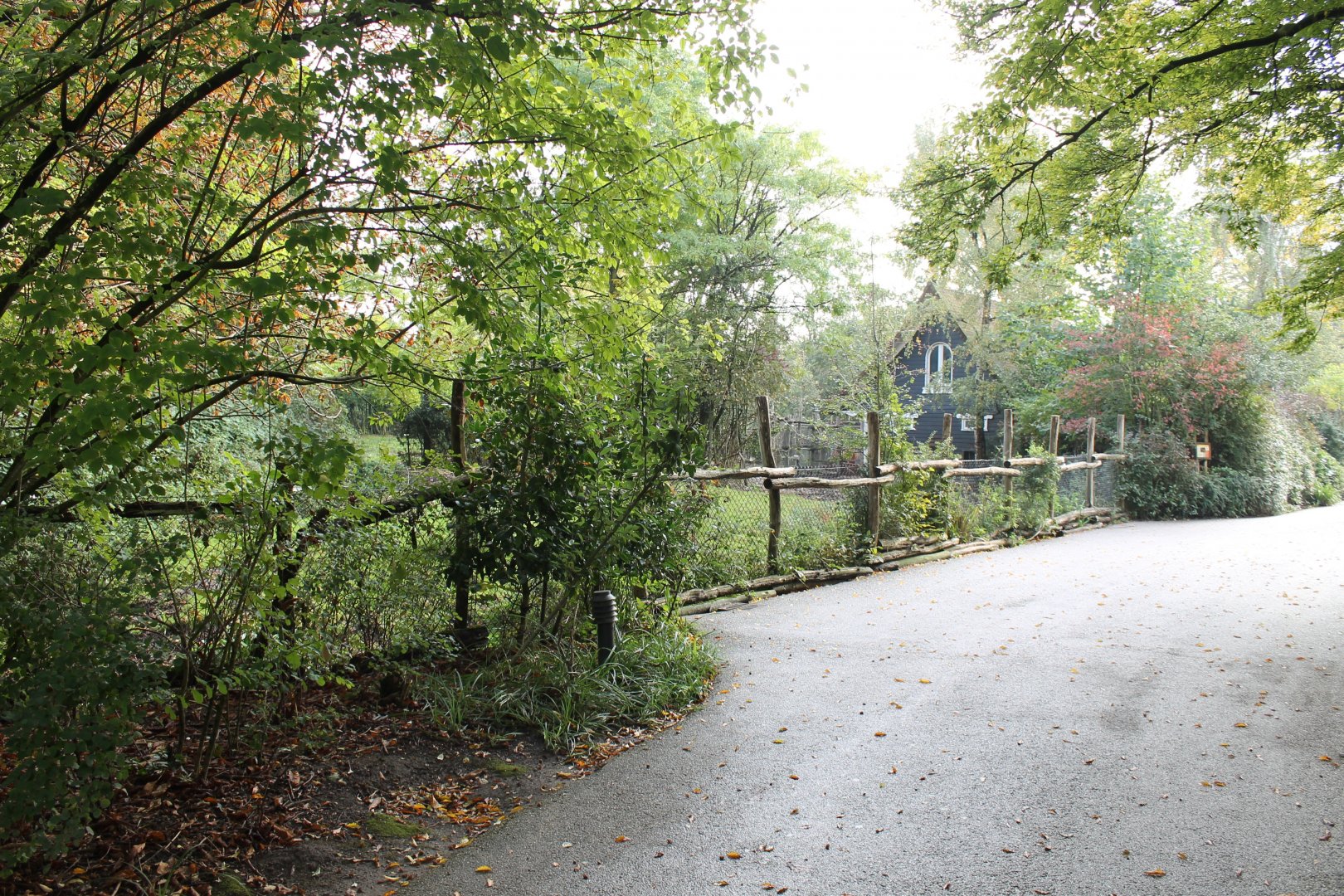 Enclosure Mhorr gazelle