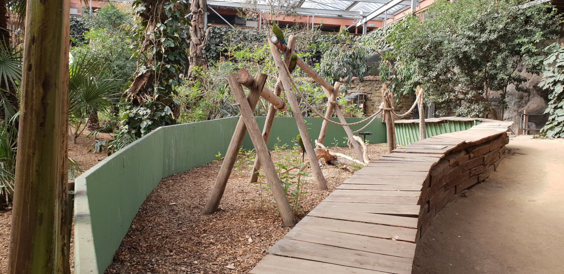 Enclosure Military macaw Bamboo Hall