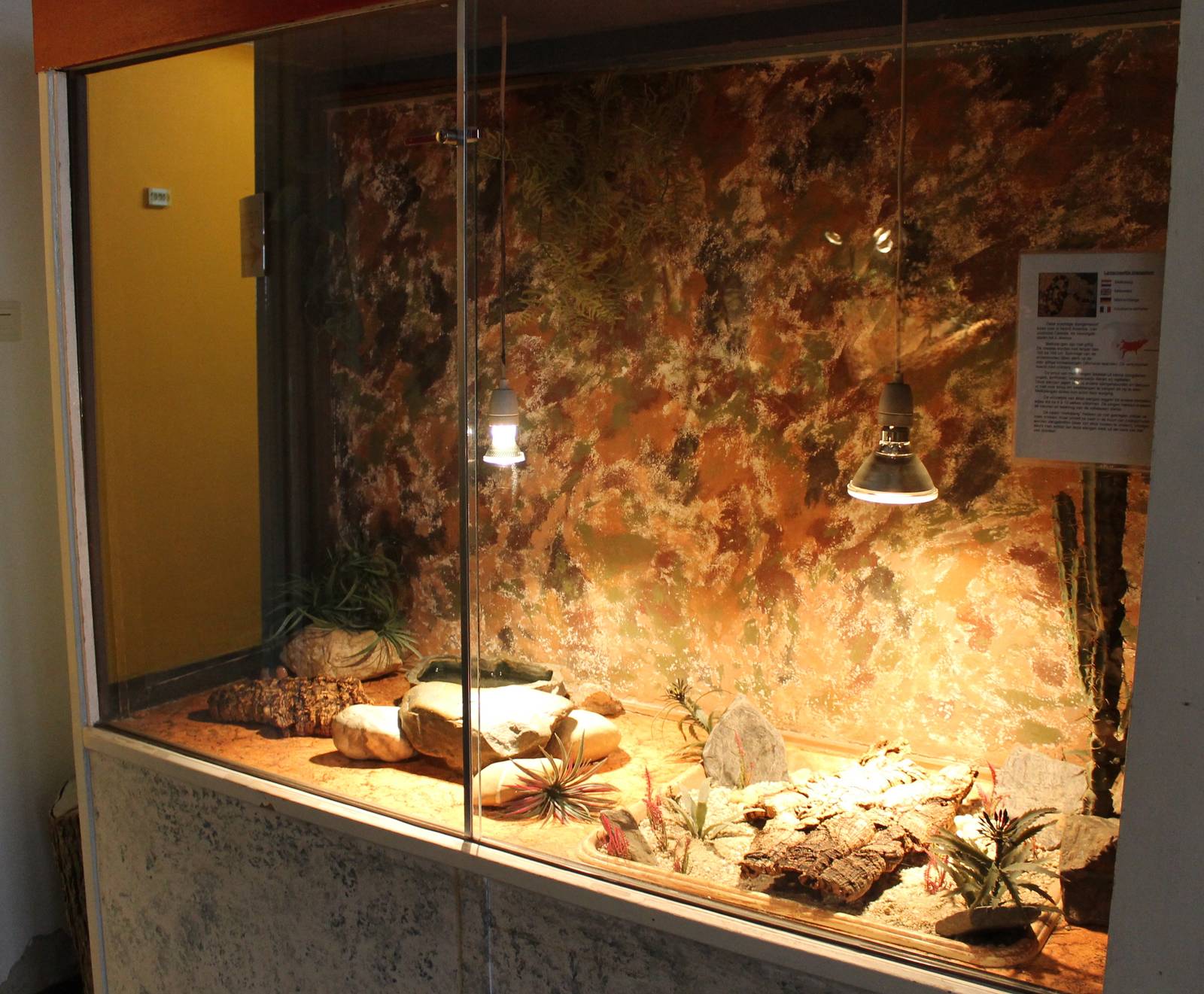 Enclosure Milk snake