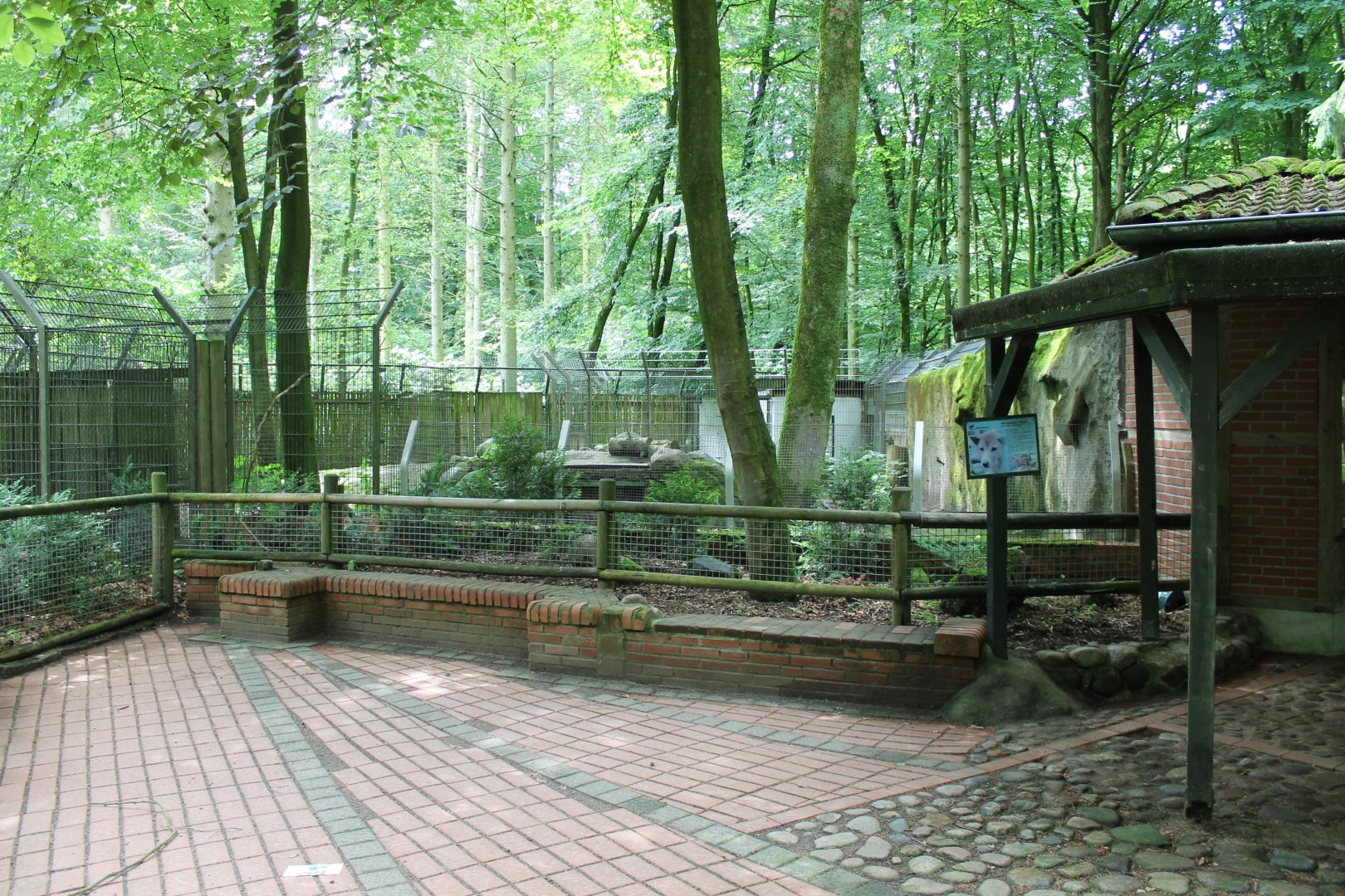 Enclosure New-Guinea singing dog