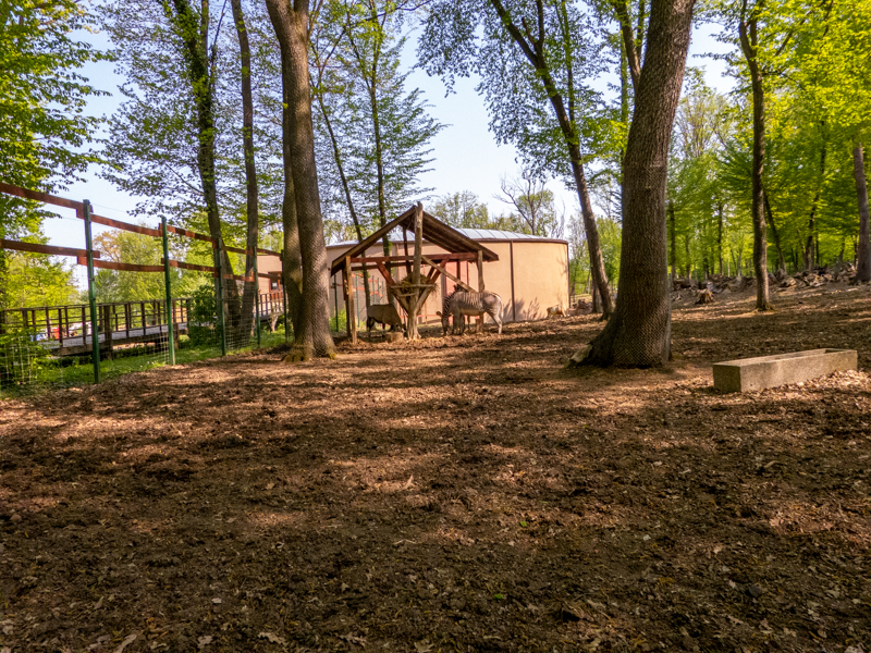 enclosure of african ungulates