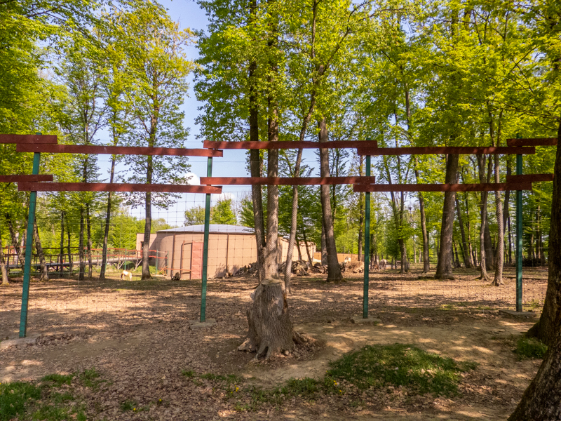 enclosure of african ungulates