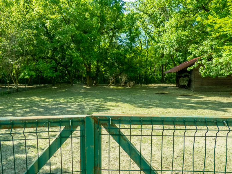 enclosure of alpaca