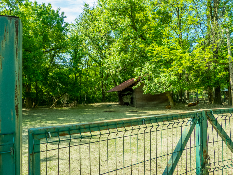 enclosure of alpaca