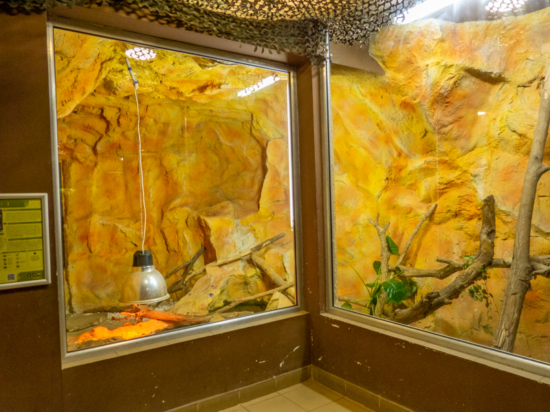 enclosure of anaconda