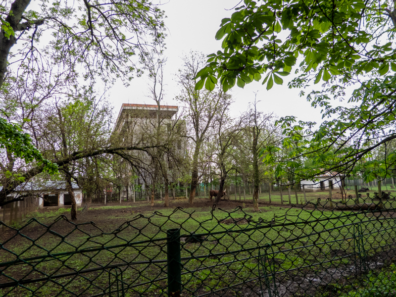 enclosure of ancole watussi