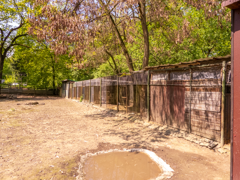 enclosure of australian animals