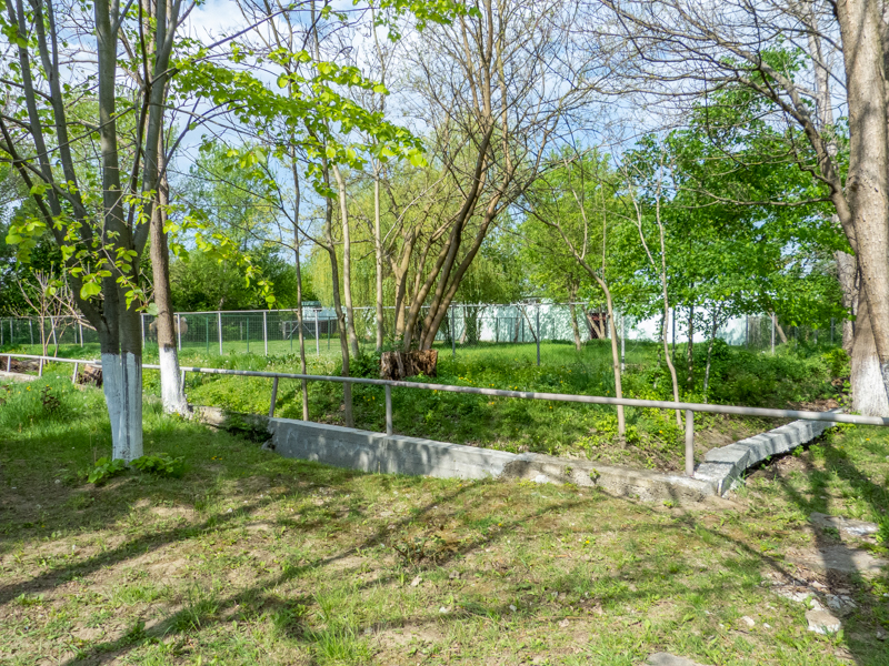 Enclosure of Bactrian camel