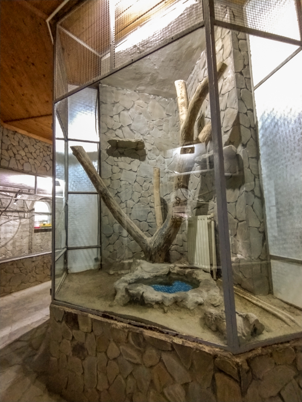 enclosure of ball python