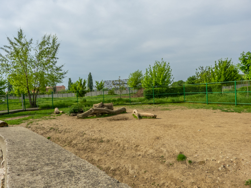 enclosure of barbary sheep