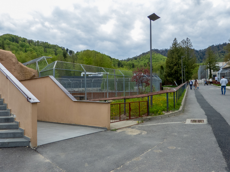 enclosure of big cats