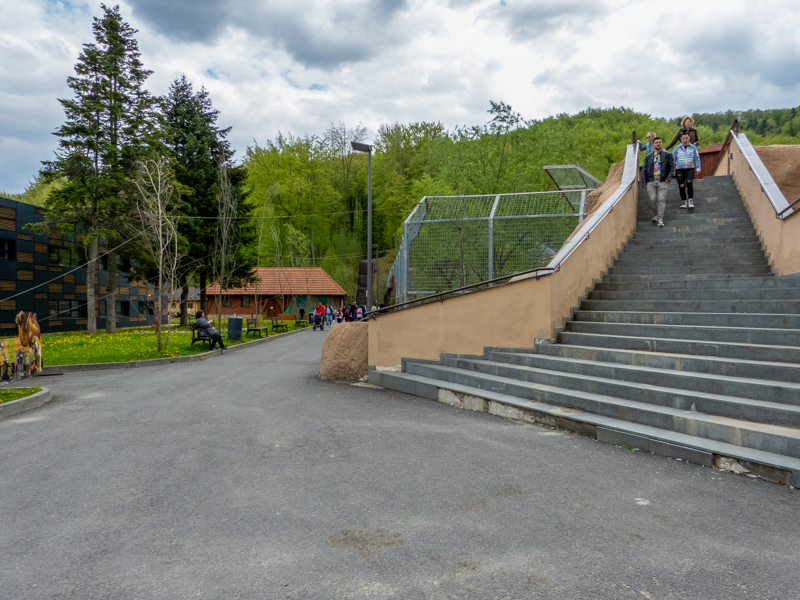 enclosure of big cats