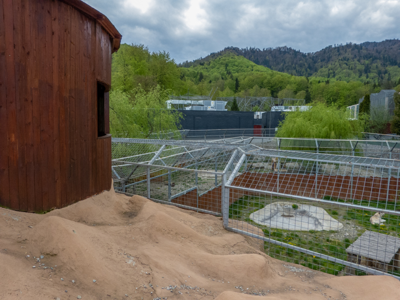 enclosure of big cats