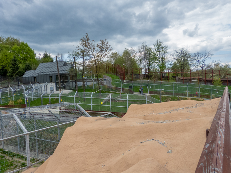 enclosure of big cats