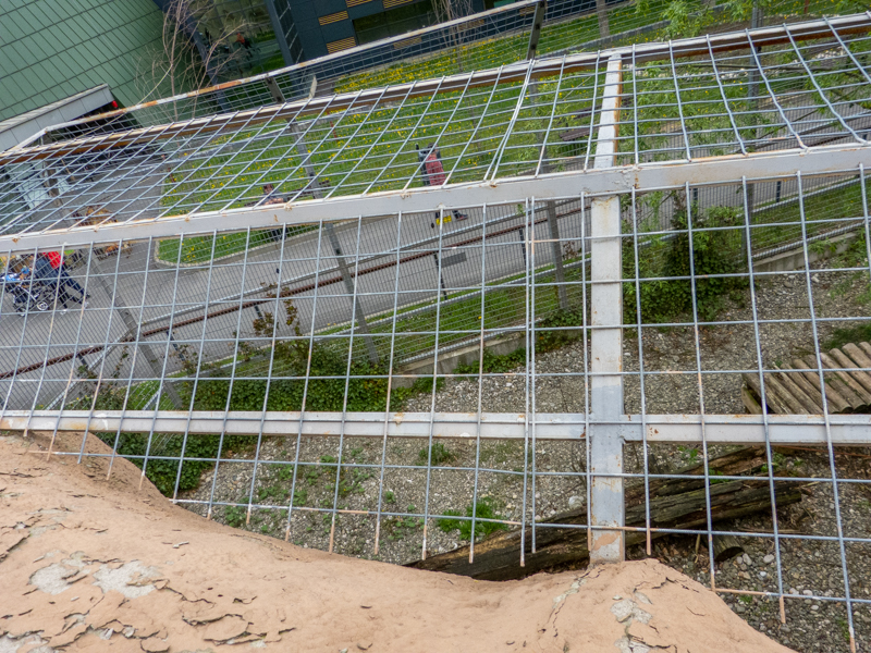 enclosure of big cats