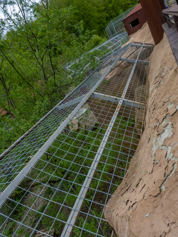 enclosure of big cats