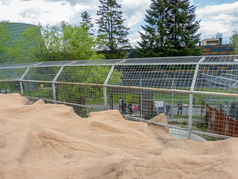 enclosure of big cats