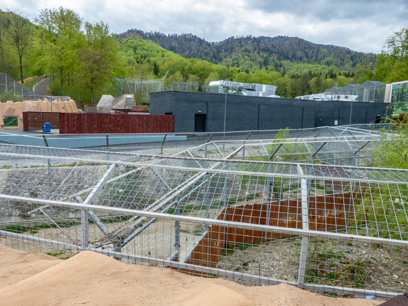enclosure of big cats