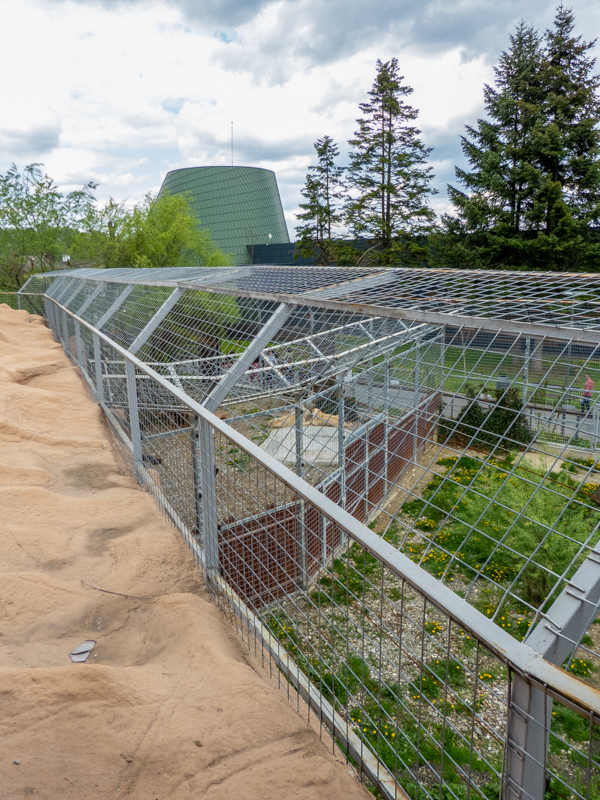 enclosure of big cats