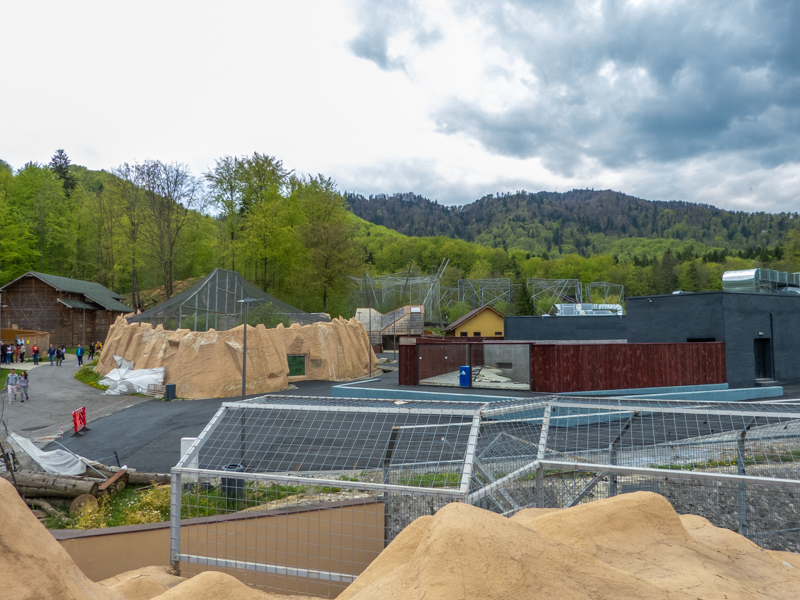 enclosure of big cats