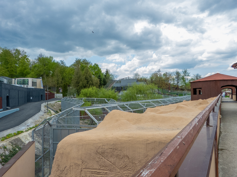 enclosure of big cats