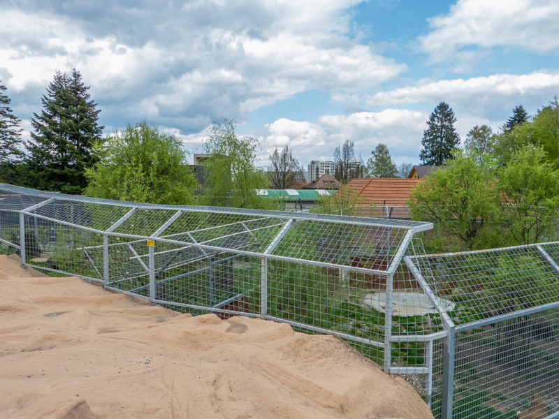 enclosure of big cats