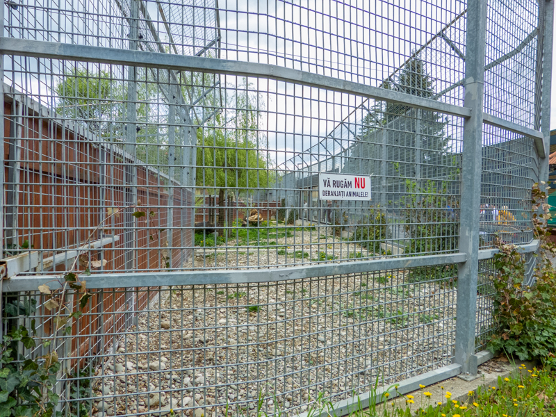 enclosure of big cats