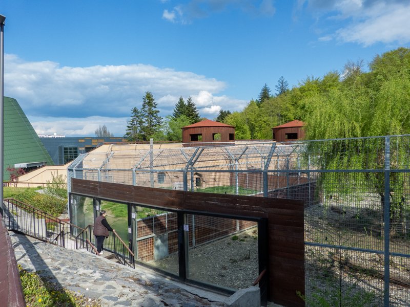 enclosure of big cats