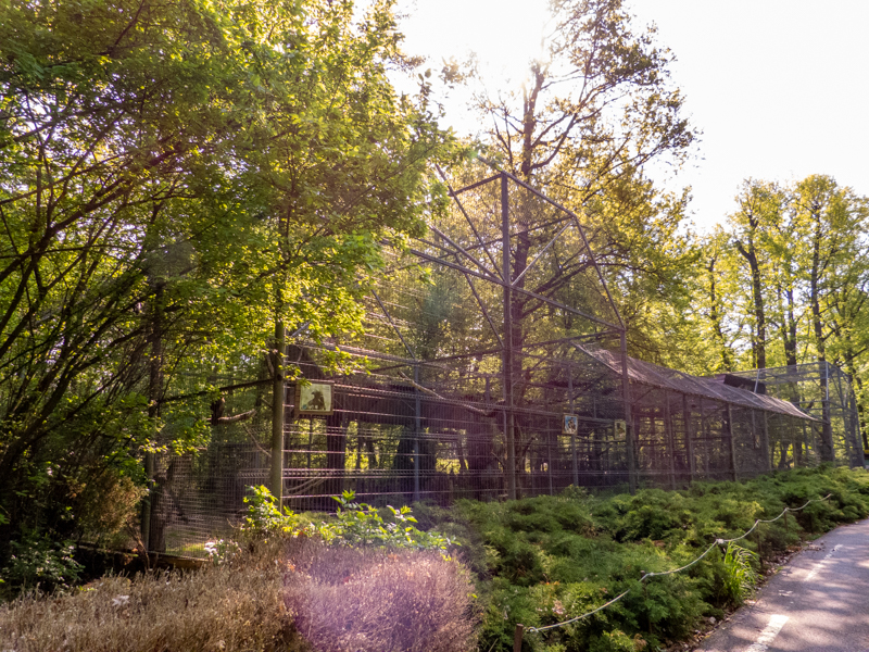 enclosure of birds of prey