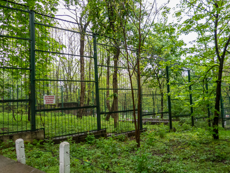 enclosure of brown bear