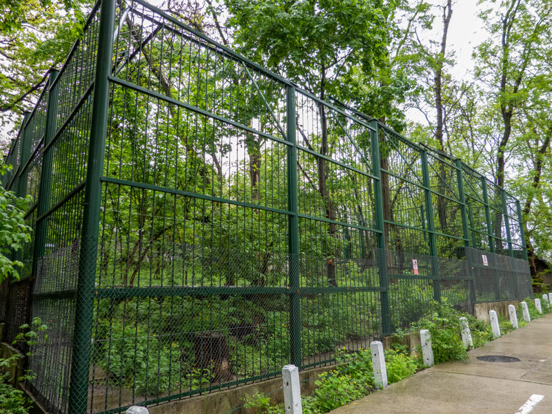 enclosure of brown bear