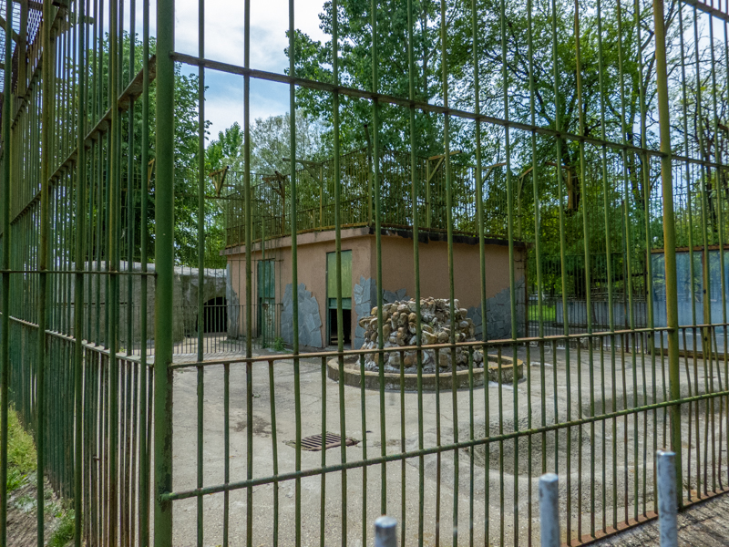 enclosure of brown bear