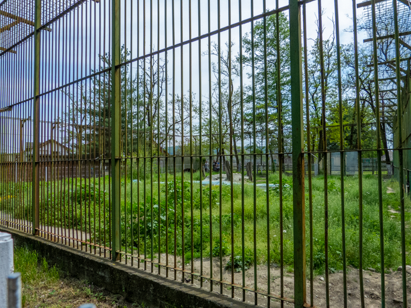 enclosure of brown bear