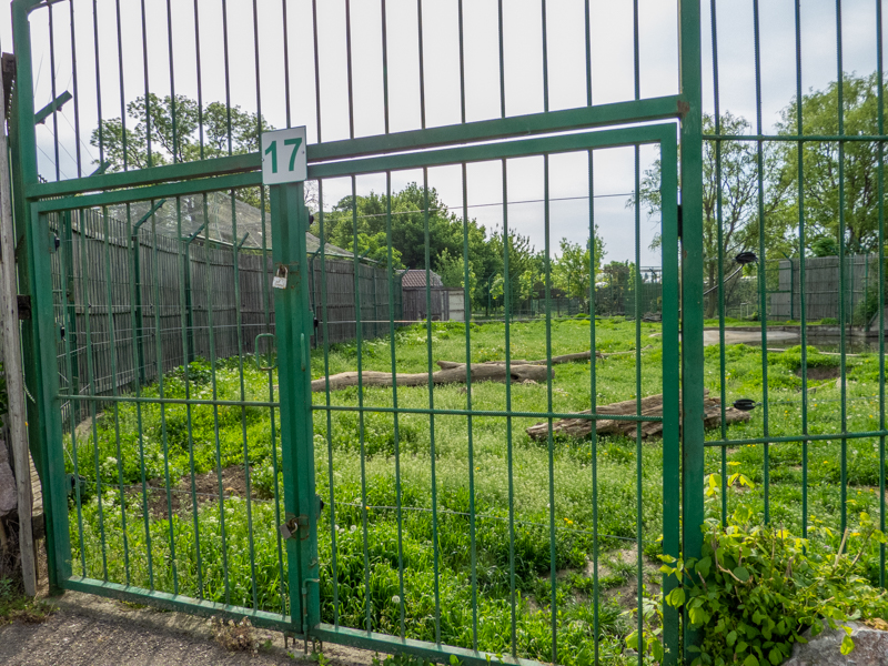 enclosure of brown bear
