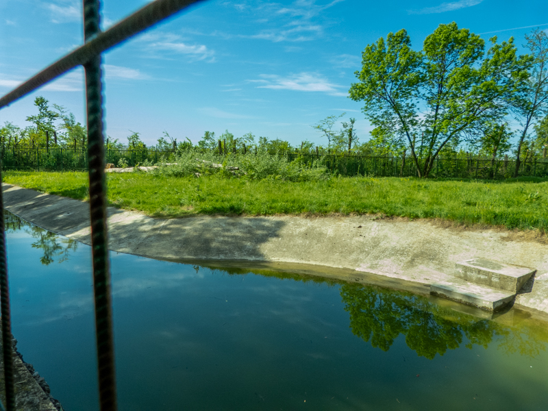 enclosure of brown bear